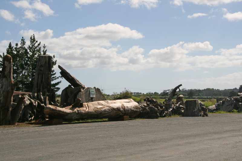 Nieuw-Zeeland 2011 - 0309